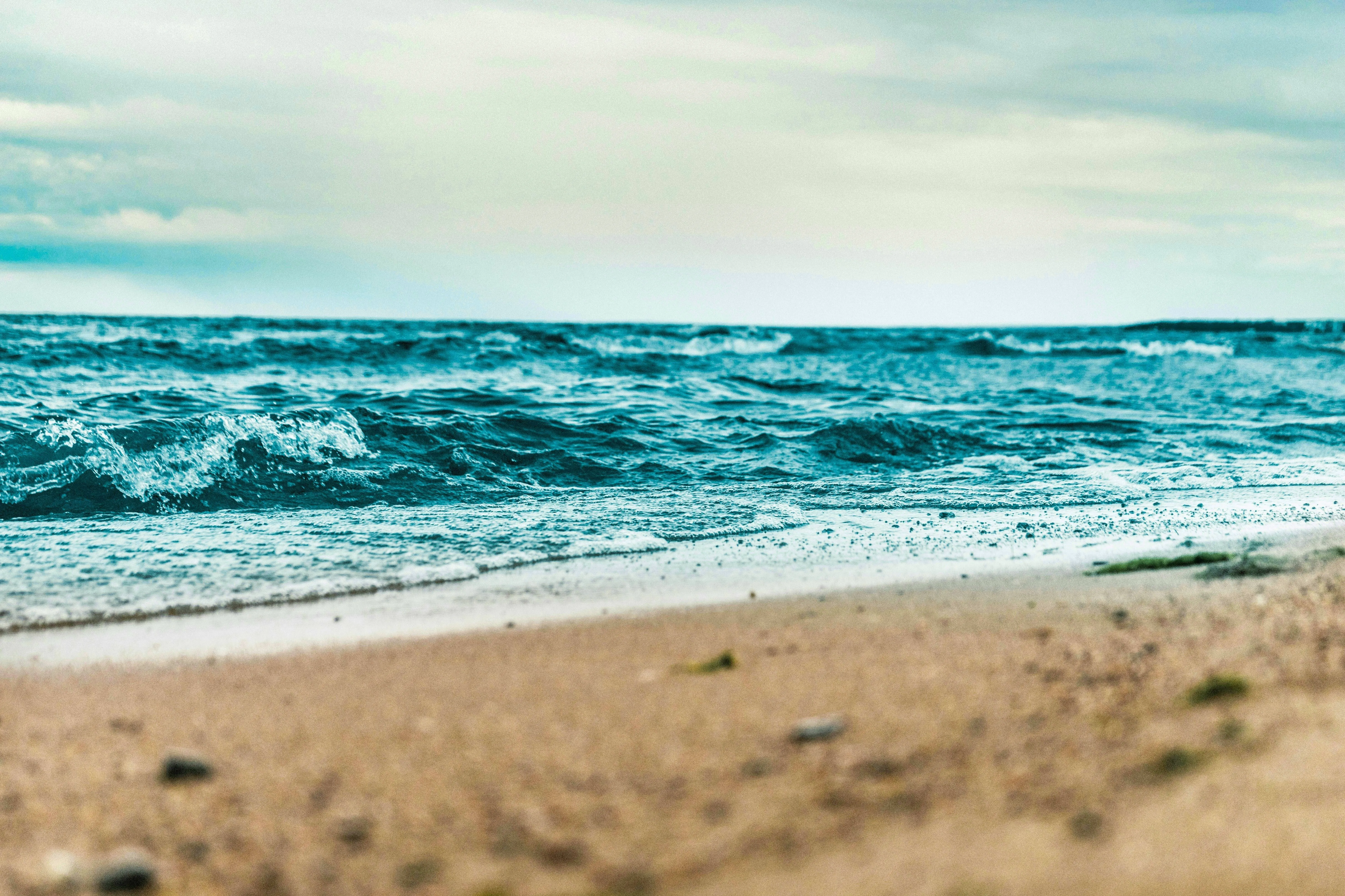 Baltic Sea shore view